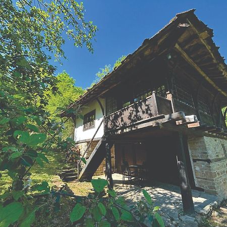 Guest House Cana Mihova Боженците Экстерьер фото
