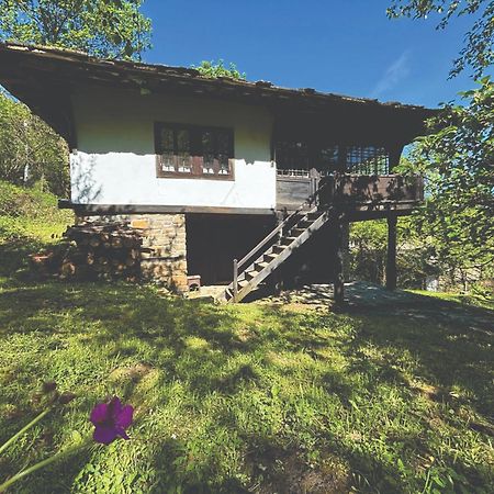 Guest House Cana Mihova Боженците Экстерьер фото